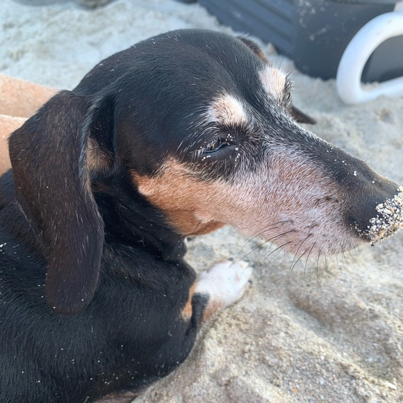 Meet your Posher, Briana - Picture 1 of 1